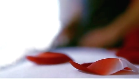 Free Behind The Scenes Porn Videos - banglaras.com